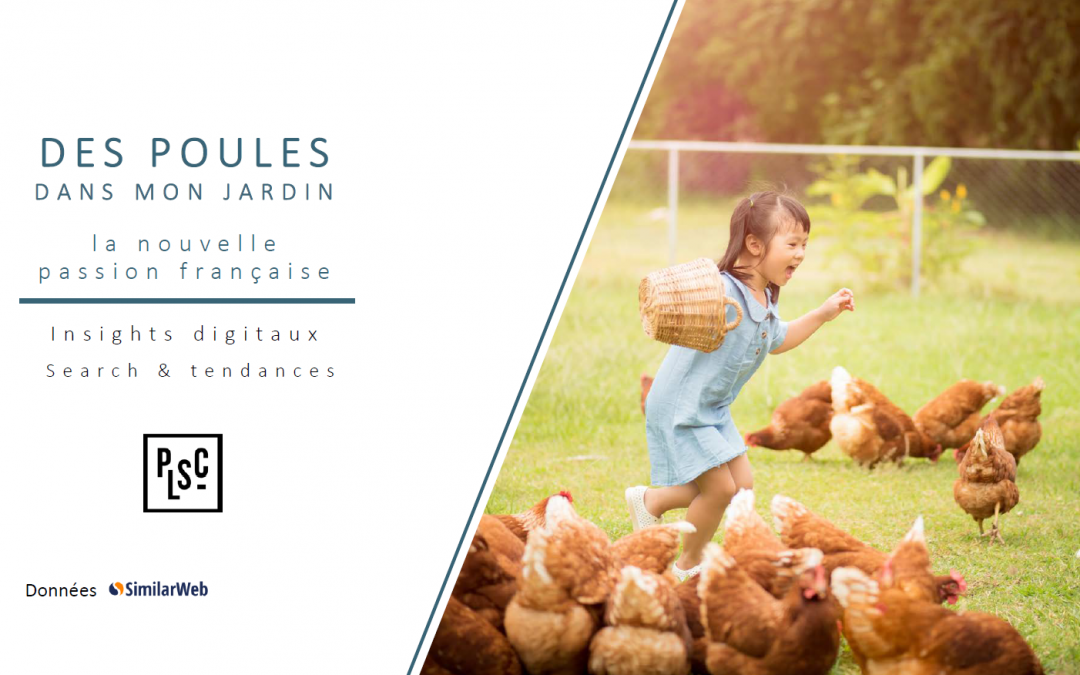 Un marché en Or : les poules pondeuses